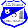 CS Sportul Simleu Silvaniei