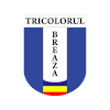 CS Tricolorul Breaza